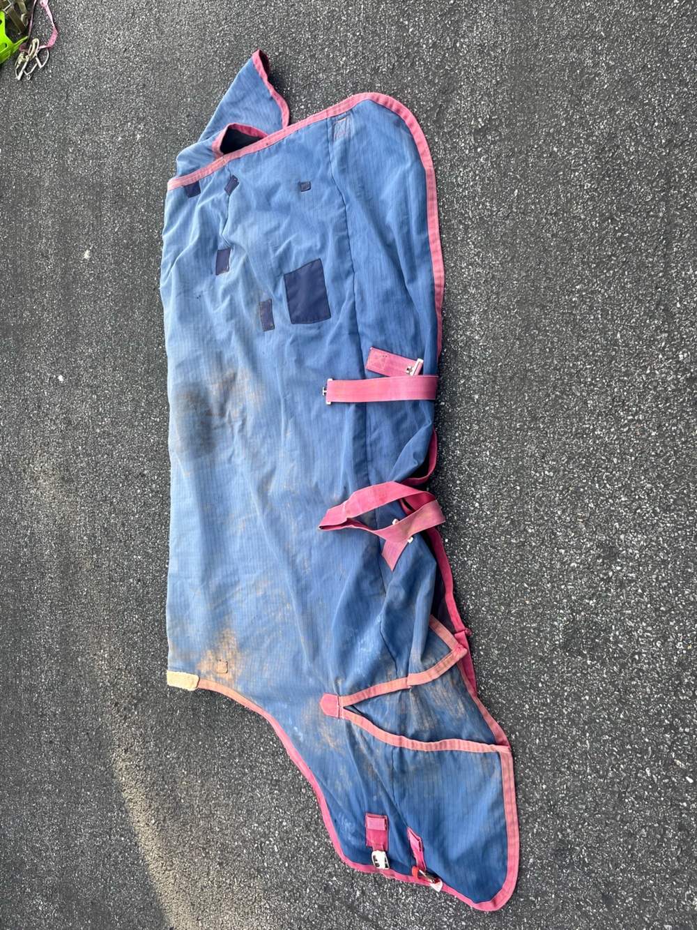 70” MacIntosh light Turnout blanket